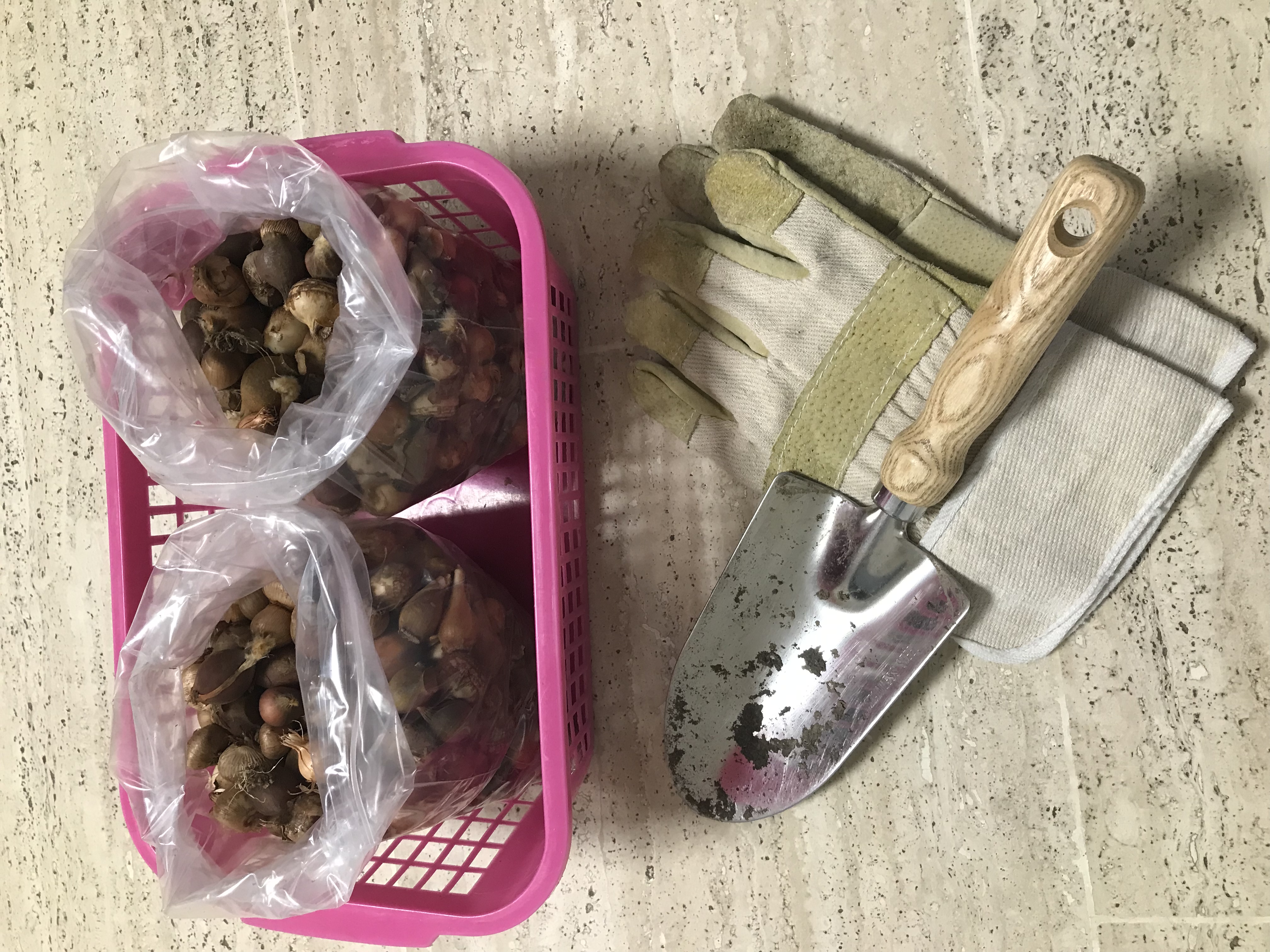 Blumenzwiebeln, Handschuhe und Schaufel Blumenzwiebeln, Handschuhe und Schaufel