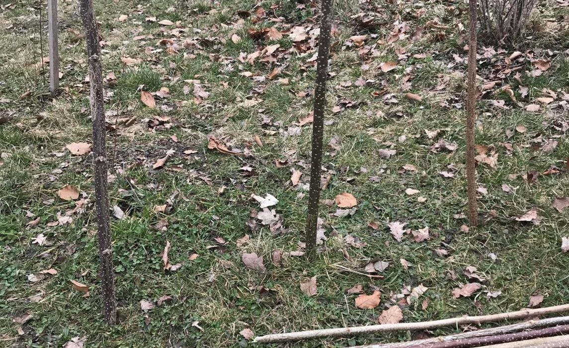 4 Pfloecke Einschlagen 2