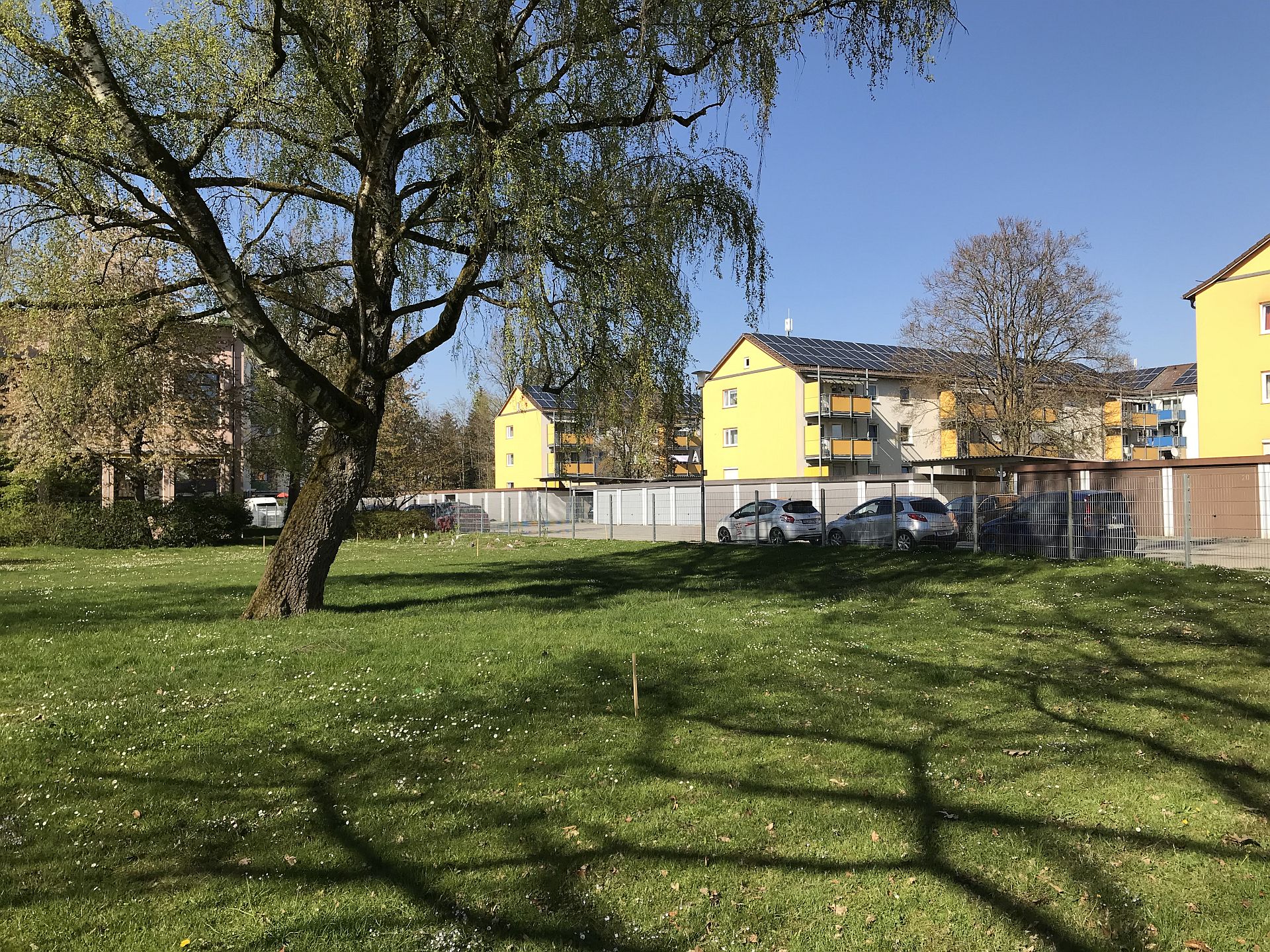 Ein Blick auf die noch leere Wiese des neuen Naturlernraum 