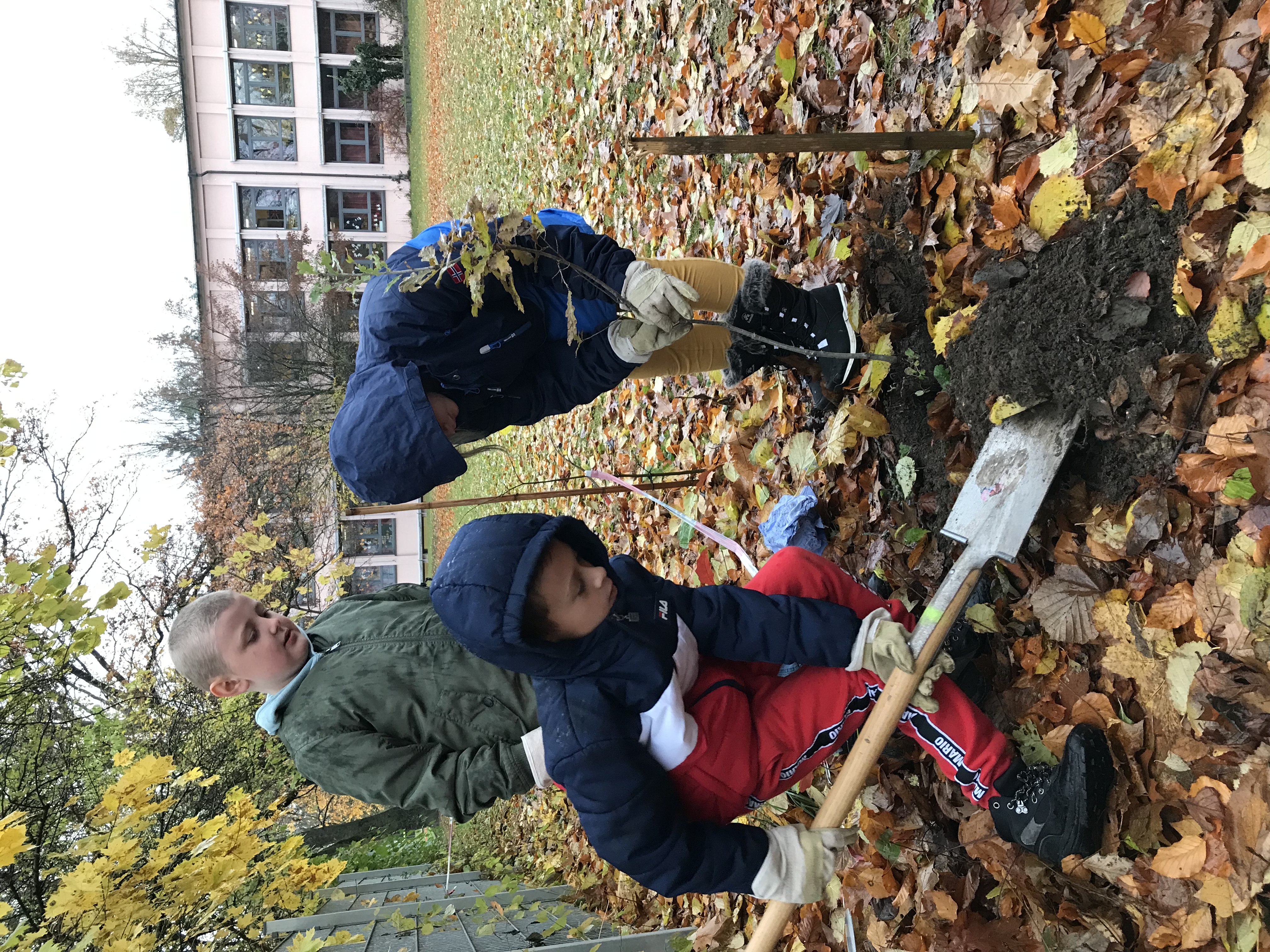 Kinder pflanzen einen Baum