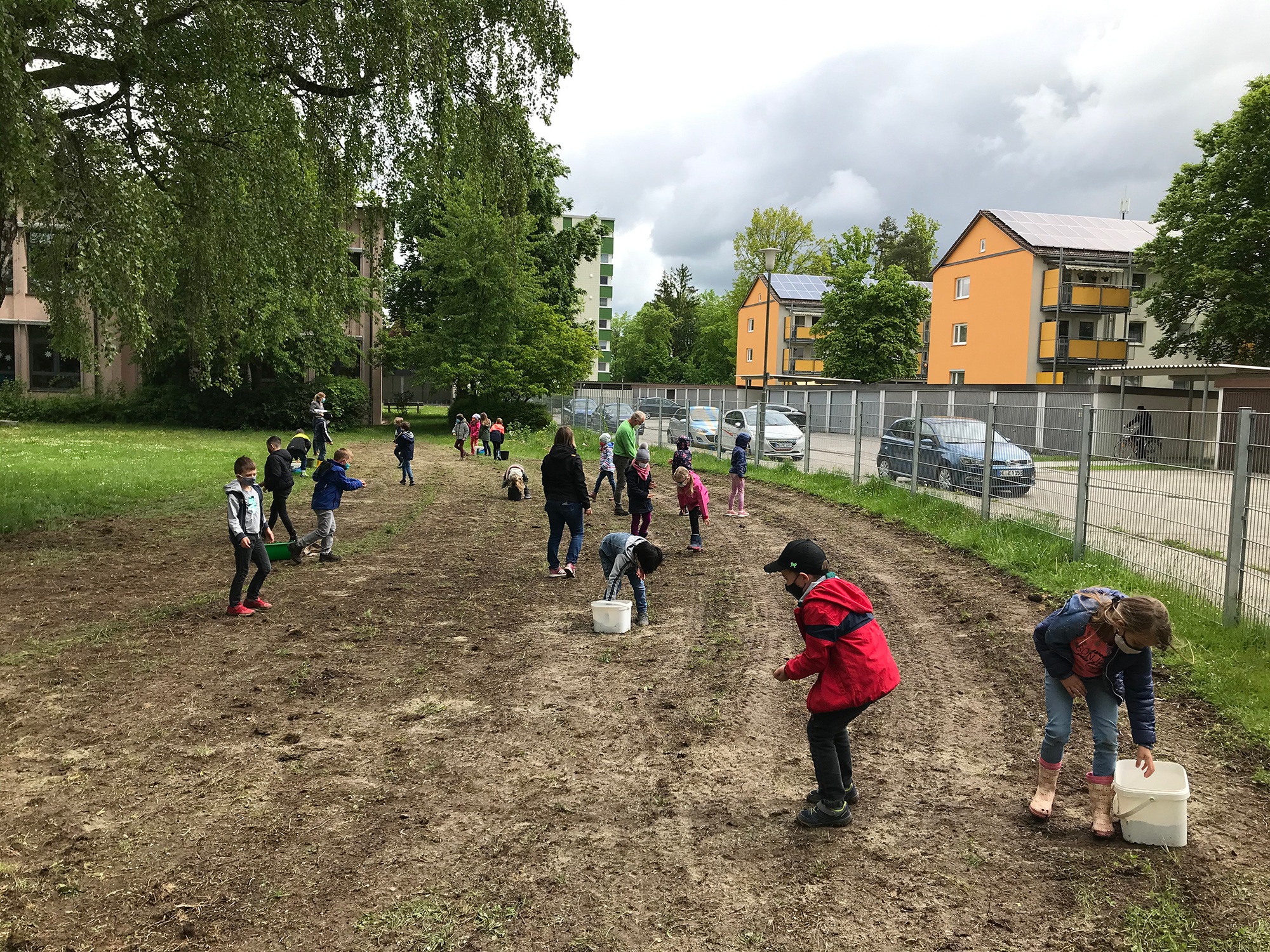 Die Grundschüler säen die Samen für die Blumenwiese