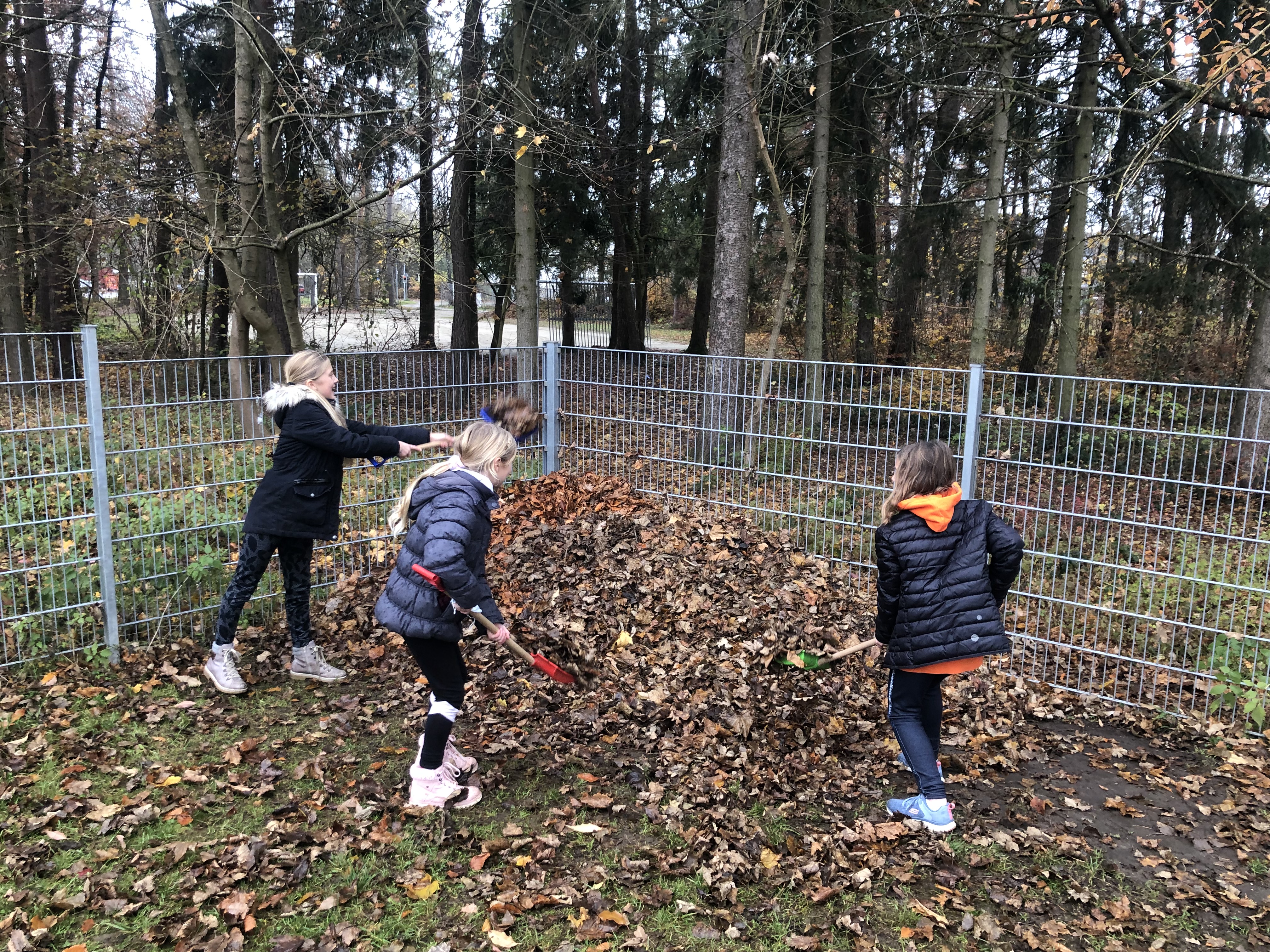 Schüler sammeln Laub für den Igel