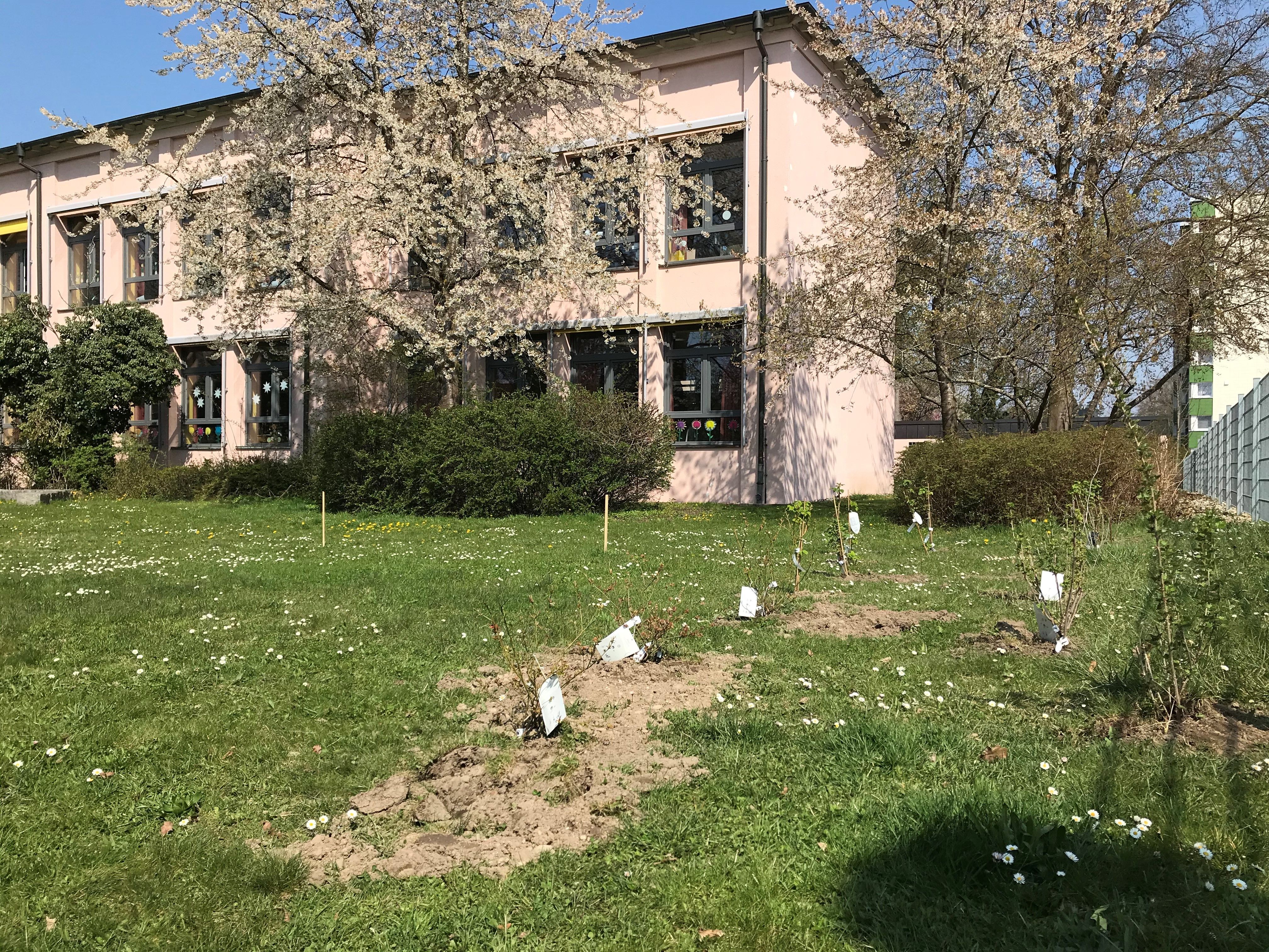 Ein Blick auf die ersten Bäume des Naturlernraums der Beethoven Grundschule Ein Blick auf die ersten Bäume des Naturlernraums der Beethoven Grundschule